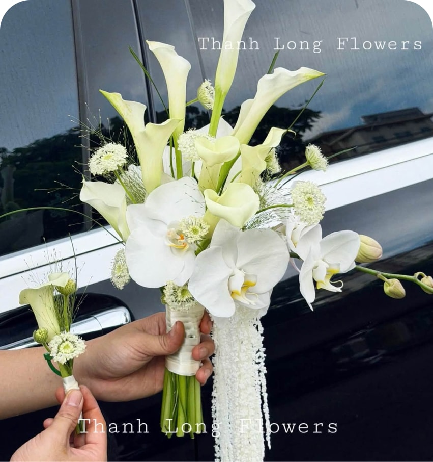 Đám cưới - Sự kiện