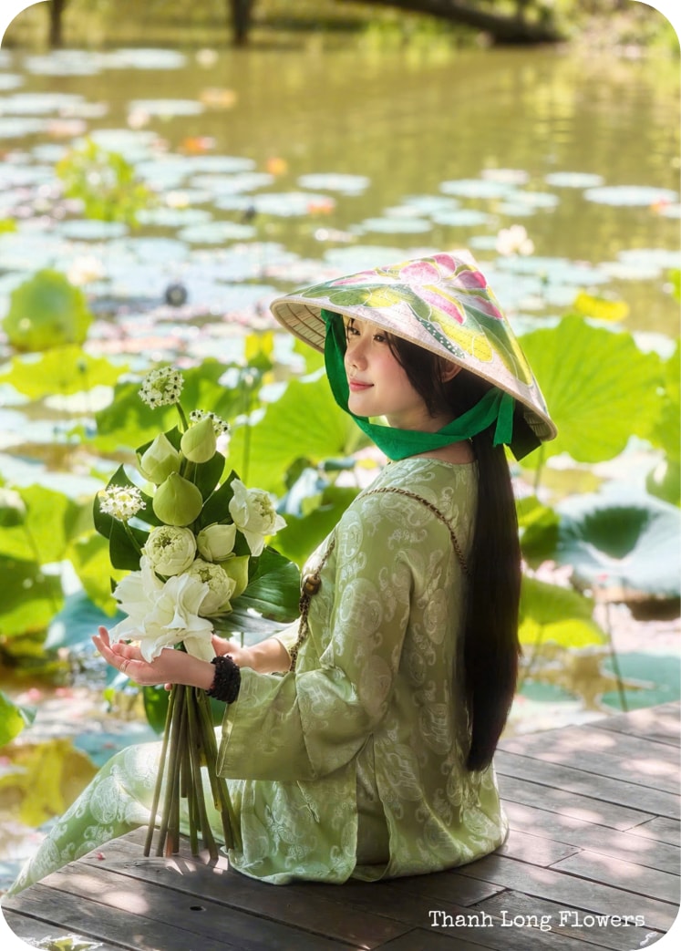 Vườn hoa sen